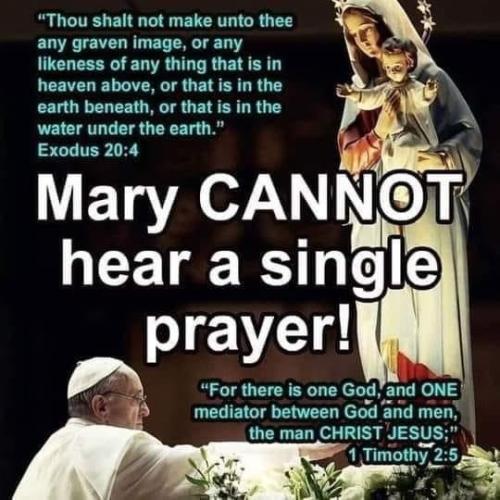 Tumblr_l_68565778761603