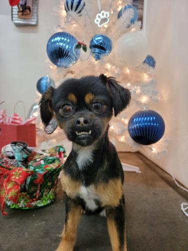 Resized_20211222_164823