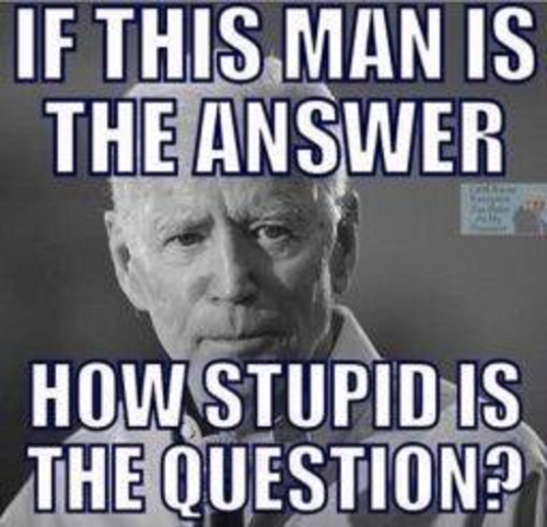 How stupid is the Question