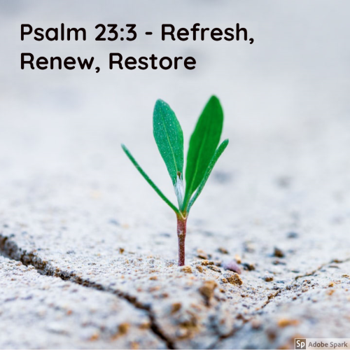 2c7a7bd3f5ced8fc (2)