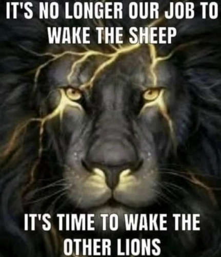 Screenshot_20211125-173600~3