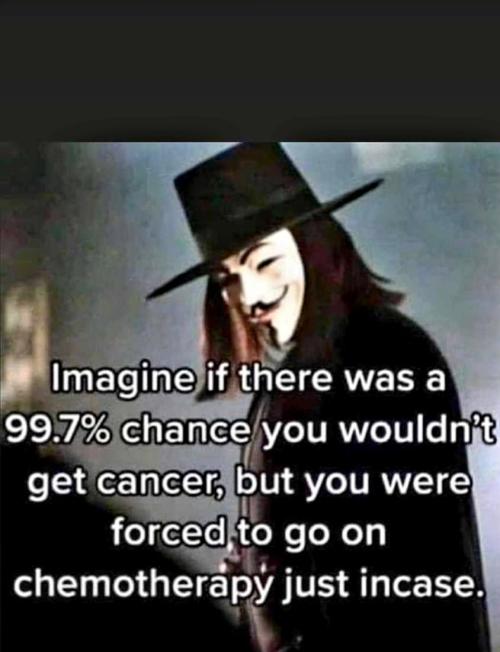 image_1639708809.006