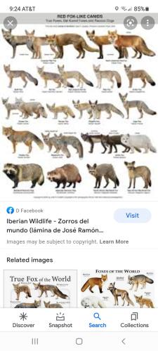 Screenshot_20211209-092456_Google