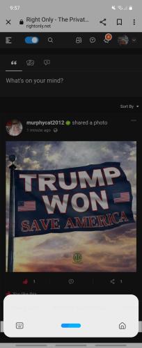 Screenshot_20211129-215749_Chrome