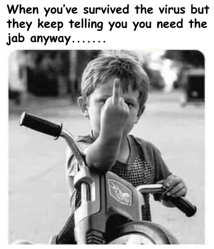 4fc5b37e0d50d46036b871961cdc986d