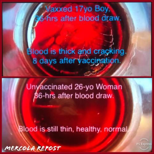 9EB1000E-AB28-4461-8D5B-836C7DE82A39