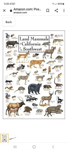 Screenshot_20211209-092803_Chrome