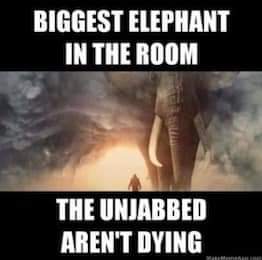 unjabbed arent dying