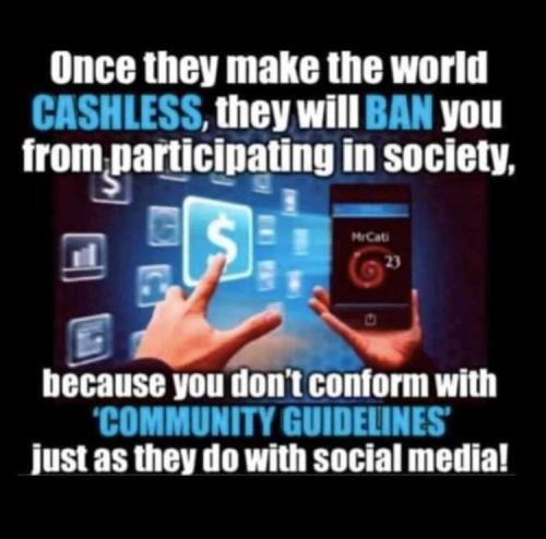 image_1639264354.278