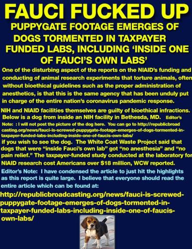 Fauci Fucked Up