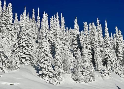Schweitzer Mountain snow