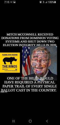 mitch the treasonous bitch