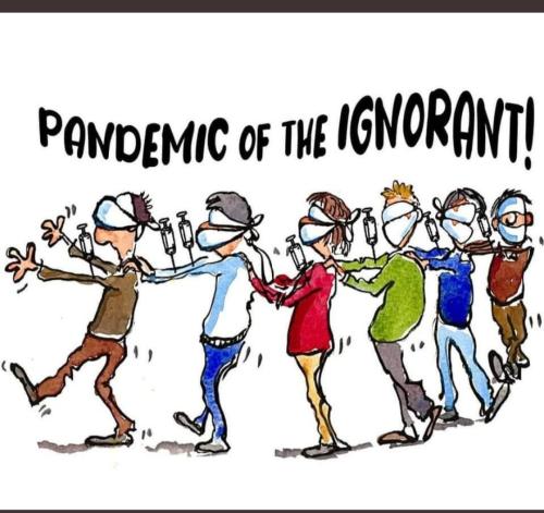 Screenshot_20211202-144131_Twitter