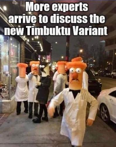 virus-experts