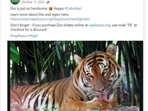 bd0186a8-44c6-4c5c-8e33-88ef1b12eaaa-EKO