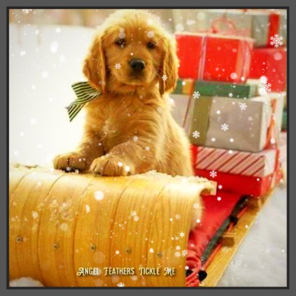 E4F00CA1-3925-4DC1-A35A-C9F52A9786D5