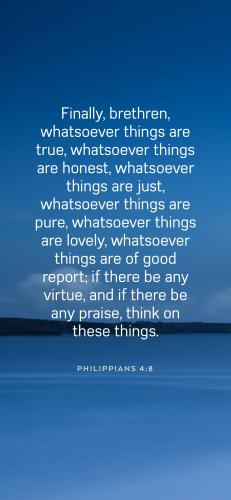 C20BB542-9374-4406-8FE5-375A6B33150F