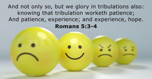 IMG_20211207_105208_715