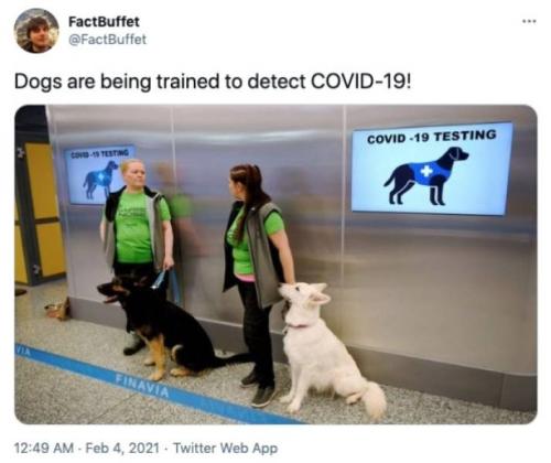 need_some_interesting_facts_640_02