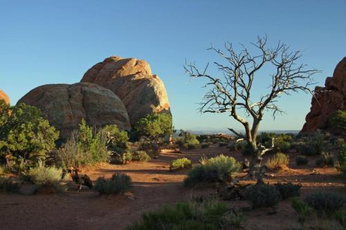 Moab Background