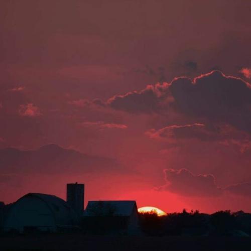 55628CCB-4583-4DDF-98D5-4A4093777AA1