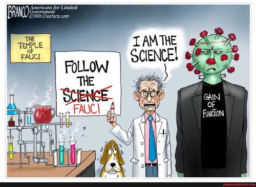 fraudchi