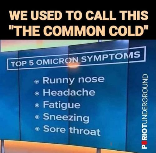 270239467_10227804397678937_4905481511268737188_n