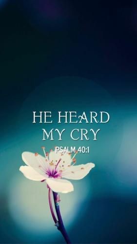 82eca822-c527-4976-bc30-0f969632519b