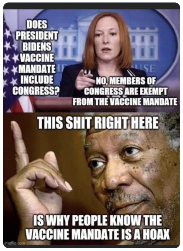 Capture+_2021-12-06-07-59-01(1)