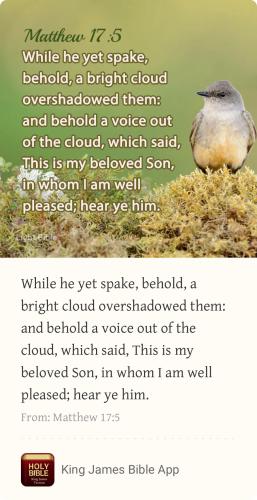 89E50084-1272-40E1-A62D-EB9386846EA1