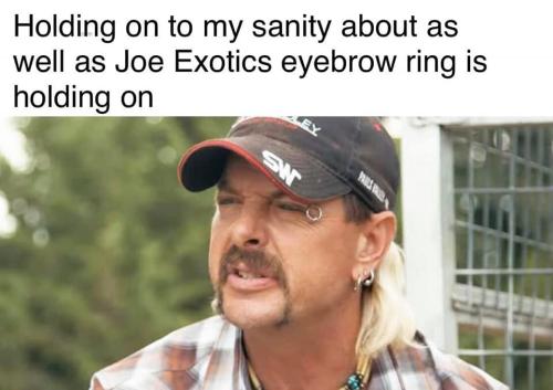 JoeExoticSanity1