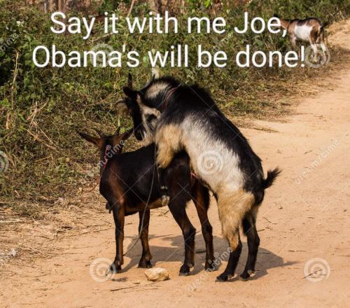 goats-breeding-farm-73159617~2