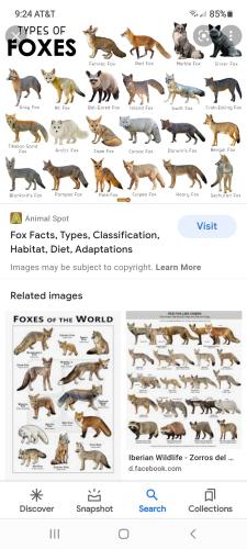 Screenshot_20211209-092437_Google