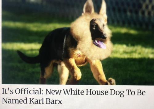 35F7F928-0B5C-4694-98FB-E214D9BFF995