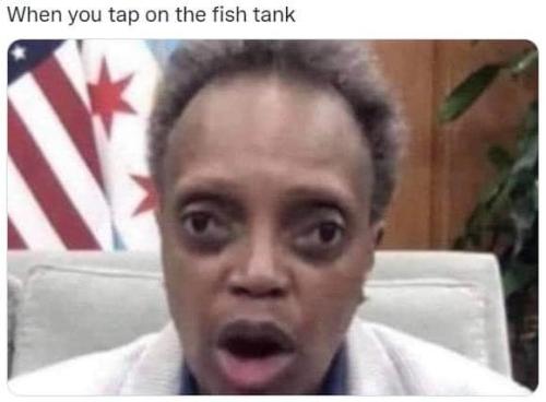 fishtank