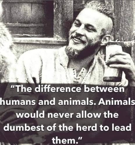 Screenshot_20211216-202951_Instagram