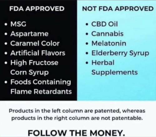 D7FDE249-636E-4032-85AE-9C20CE69873B