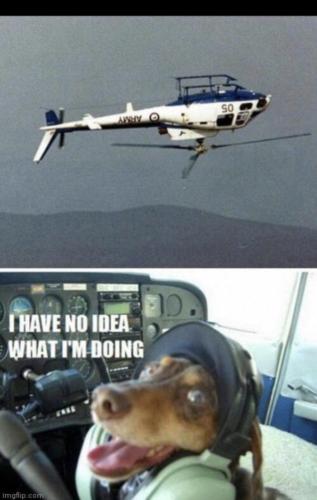 05C26D95-028A-4455-838F-A0CB9FEF350A