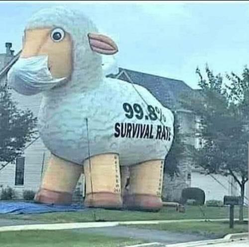 Screenshot_20211229-143559_Signal