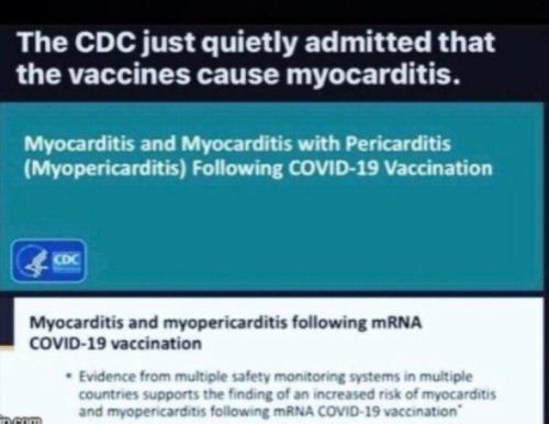 266c86acda92ff974ef08cda7cfb80a7_500x0