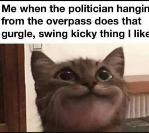 swingkicky