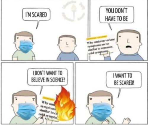 Screenshot_20211228-122250_Tumblr