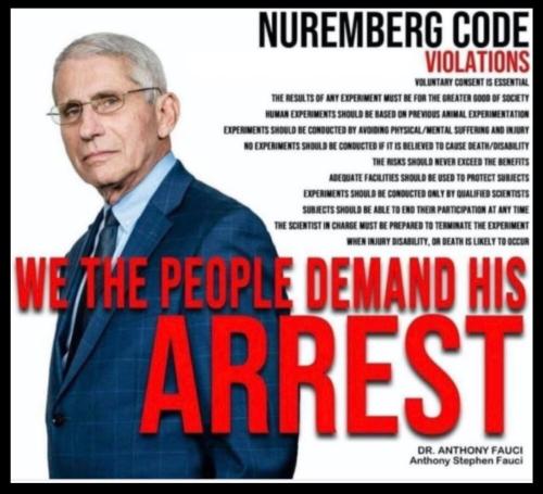 image_1638334228.127