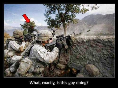 Levity269