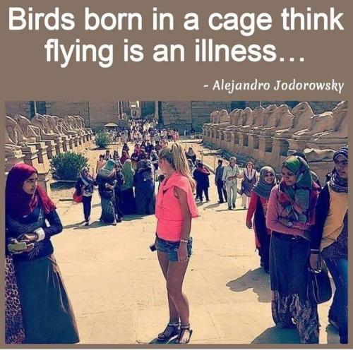 232314428_1748041845384089_4201682246662462422_n