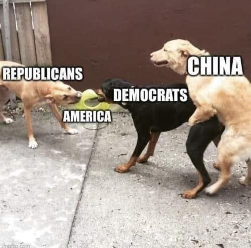 86C0B9F4-BA1A-4721-A6DE-C91B2A9E2A60