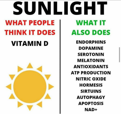 Meds61