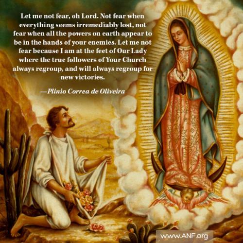 27569F10-7450-4ADC-BE40-0D8B73EF686A