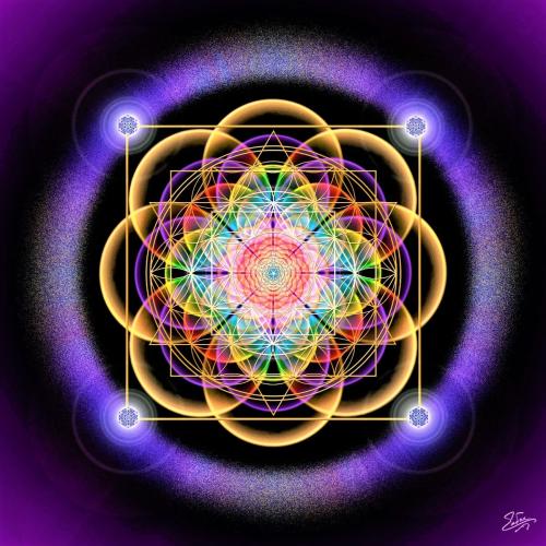 IMG_20211224_103817_103