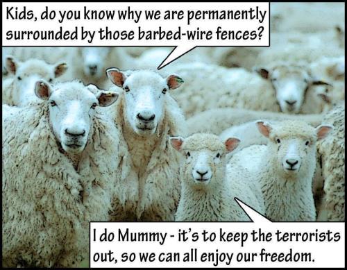 sheeple-01
